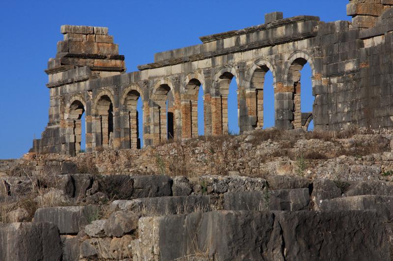 130-Volubilis,29 dicembre 2013.JPG